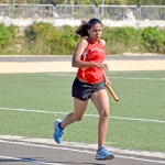 Brac sports day heralds a new era