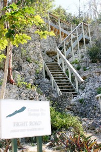 The Bight Road boardwalk offers an access point up the bluff.