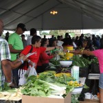 Thousands attend annual Agriculture Show