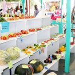 It’s showtime for Cayman agriculture