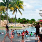 Thousands attend Family Fun Day at Turtle Farm
