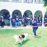 Kids CARE at George Town Primary