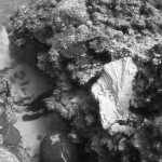 Allen yacht reef damage ‘worse than expected’