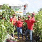 District readies for Agriculture Show