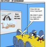 Zika attack