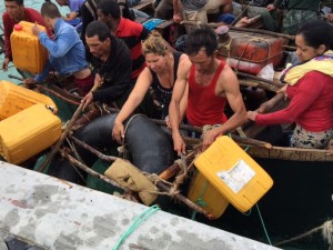 The 15 migrants stopped in East End before heading back out to sea. - Photos: David Bridgeman
