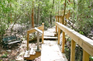 A boardwalk through part of the current reserve.