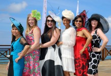 Cayman in Focus: Hatitude