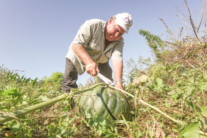 DD-Farmer-horiz-WEB