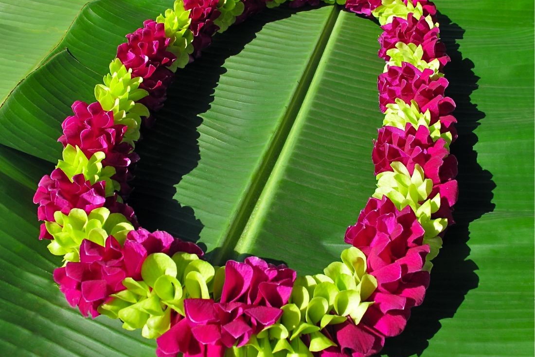 Buy a lei, or make one yourself.