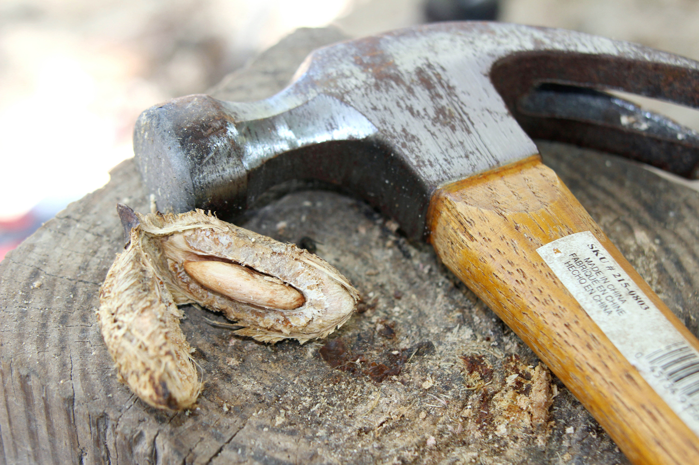 A hammer is used to crack the almonds, children used a well shaped rock in earlier years.