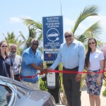 Governments play a role in paving way for electric vehicles