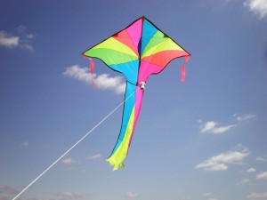 Buy a kite or make your own.