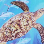 Little Cayman Easter auction to be held Saturday