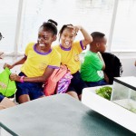 Prospect Primary students explore mangroves
