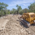 EDITORIAL – Conservation Law: Revisiting an ‘unnatural disaster’