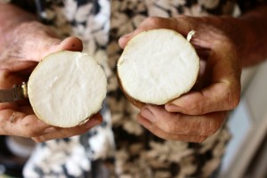 The white sweet potato. - Photos: Jewel Levy