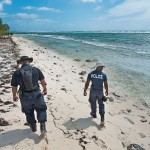 Governor approves plan for JPs to join search review