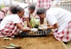 Red Bay students dig Seed-to-Plate project