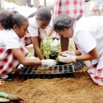 Red Bay students dig Seed-to-Plate project