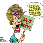 Beach rocks