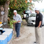 Vendor relocates under tree