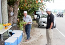 Vendor relocates under tree