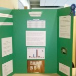 Clifton Hunter Science Fair entries impress