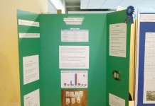 Clifton Hunter Science Fair entries impress