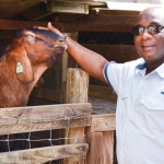 Agriculture in the spotlight