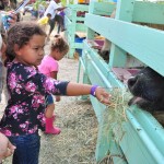 Agriculture show draws big crowds