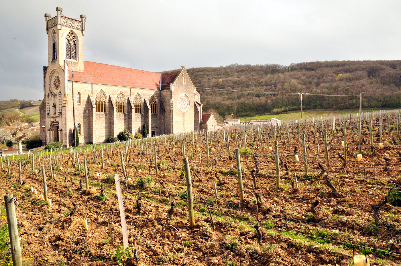 Small vineyards dot the landscape in Burgundy and the wines from vineyards right next to each other can differ greatly because of terroir.