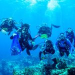 Coral ‘trees’ planted to build up Cayman’s reefs