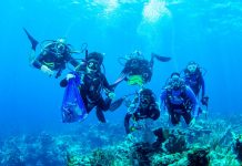 Coral ‘trees’ planted to build up Cayman’s reefs
