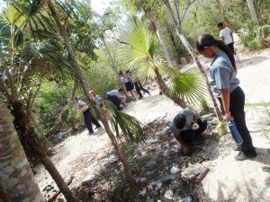 Students cleaned up litter and planted papaya seedlings.