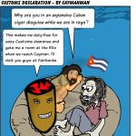 Customs declaration