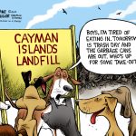 Stray dog landfill
