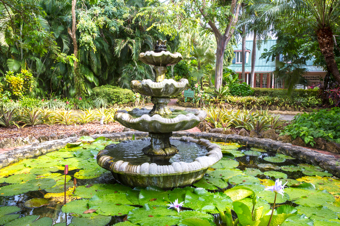 Find the fountain surrounded by lily pads. - Photos: Stephen Clarke