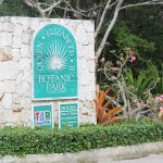 Dog attack kills beloved blue iguana from children’s book