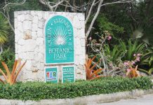 Dog attack kills beloved blue iguana from children’s book