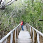 Celebrate Earth Day at the botanic park