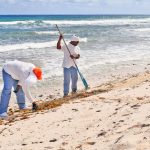 Prisoners pitch in with coastal clean up