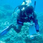 Coral restoration expert joins CCMI