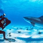 World premiere for Cayman-made movie