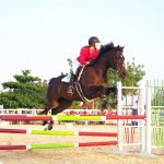 Cayman riders compete in Regional Jumping Challenge