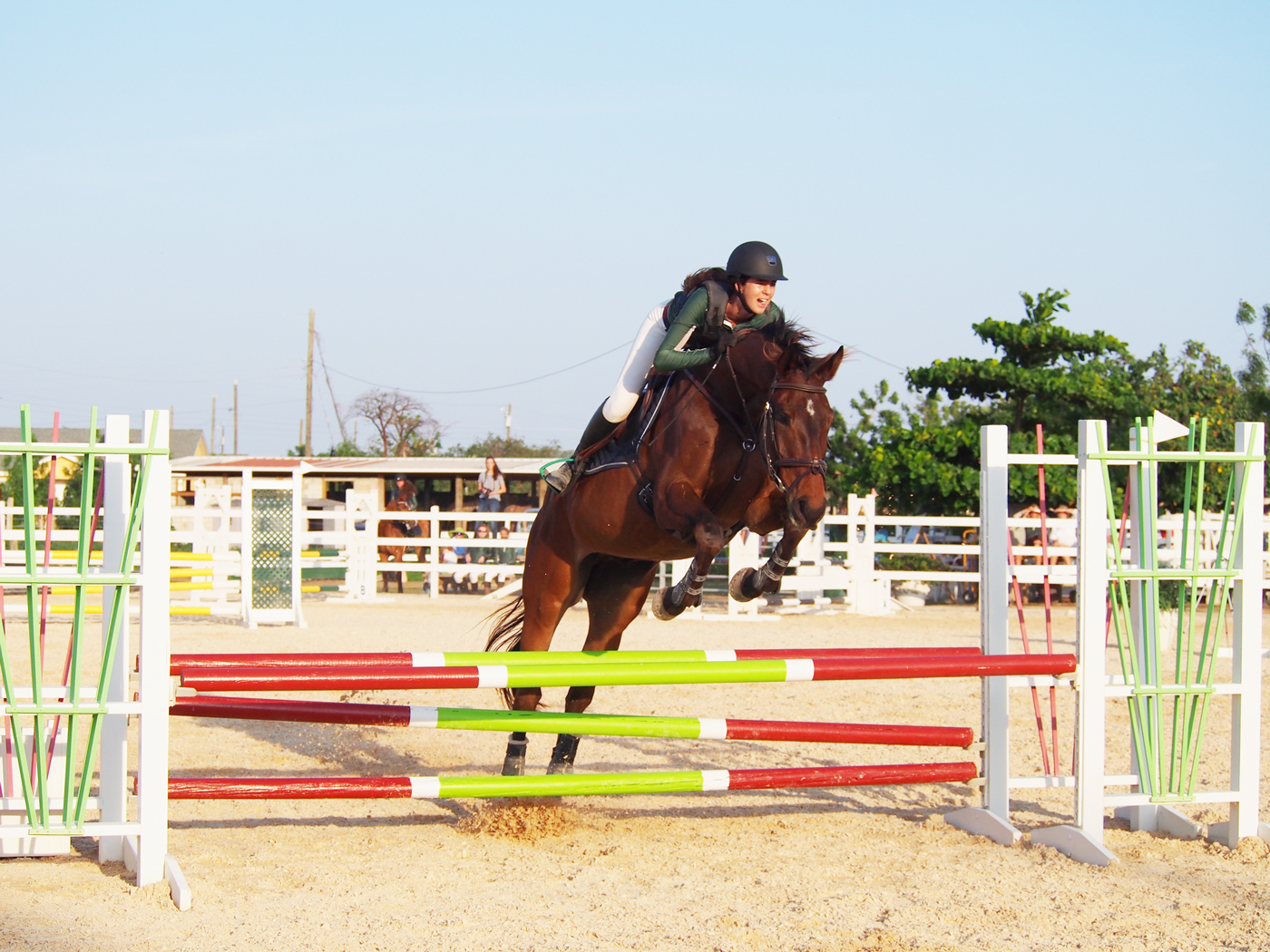Chloe Fowler on Will to Win.