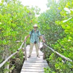 Talk sheds light on mangroves