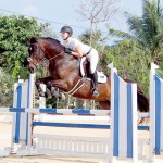 Equestrian show season opens