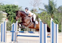 Equestrian show season opens
