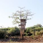 Wild meat, garden plots and fish pots